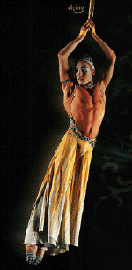 flyingman.gif (63943 oCg)