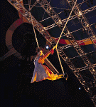 cloudswing.gif (85442 oCg)