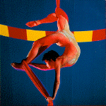 contortion2.gif (107466 oCg)