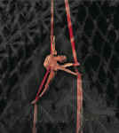 contortion3.jpg (195356 oCg)