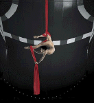 contortion.gif (59291 oCg)