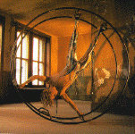 germanwheel.gif (126004 oCg)