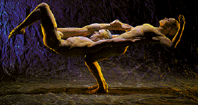 visversa2.gif (56597 oCg)