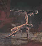 visversa3.jpg (197789 oCg)
