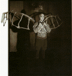 wings.gif (74261 oCg)